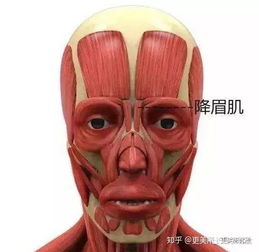 情绪或者心态性格能影响人的面容长相吗