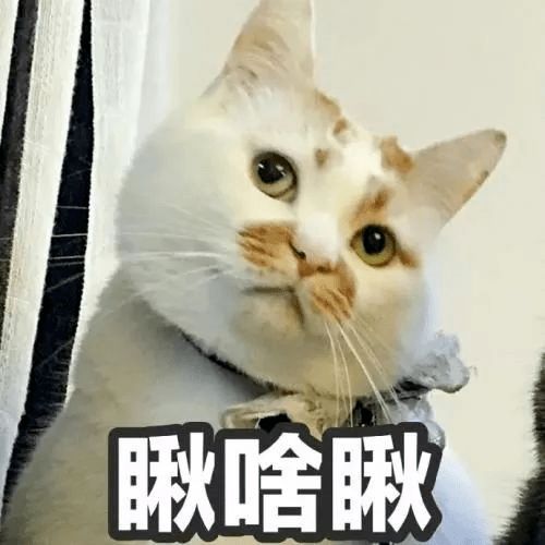 不是吧,现在还有人问这些问题