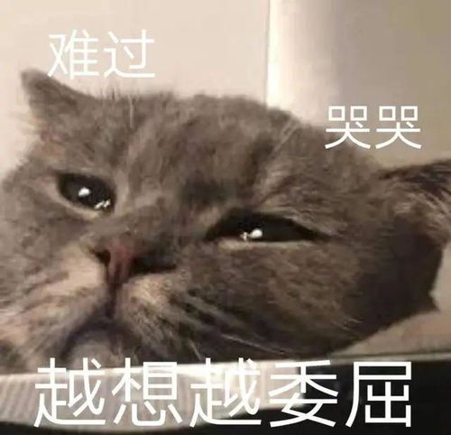住千万豪宅,省5毛公交费,深圳妈妈为女儿留学花尽毕生积蓄,值得吗