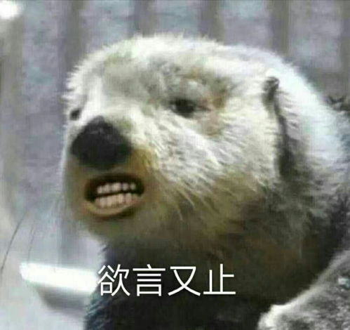 叫女朋友起床的表情包沙雕