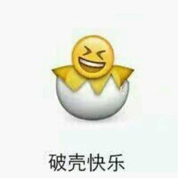 权儿拥措的美拍