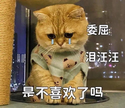 抖音表情包i想要这样抱抱单手抱女友挑战