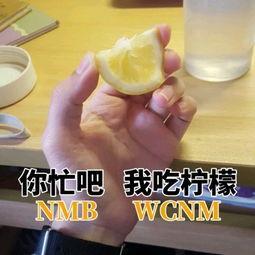高级怼人的表情包来了在百度上找不到你,搜狗却可以,有点意思