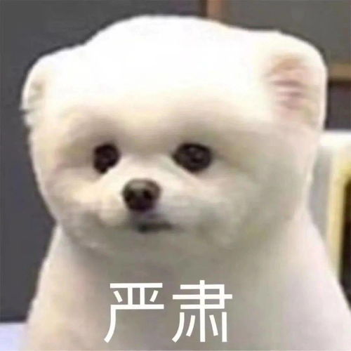 腰酸背痛一键解决这健康伴侣千万别瞎用