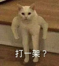 一周神回复可喜可贺,开学大吉