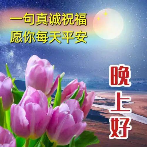 晚安图片,晚上好表情包,祝福望你好梦