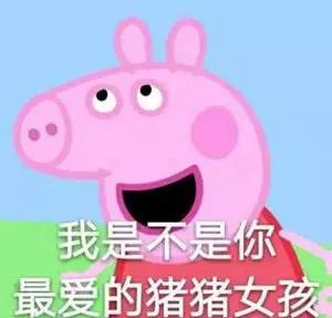 这10个猪猪冷知识颠覆认知,记住包你春节猪事顺利