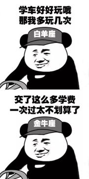 驾考表情包驾校