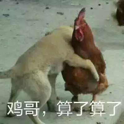 神奇的动物大概就在聊天记录的表情包里吧