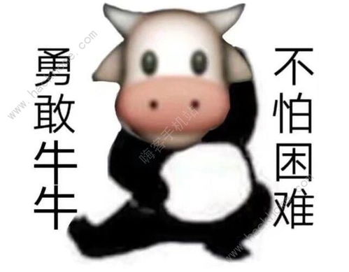 大半夜笑出猪声表情包抖音