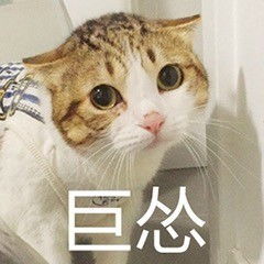 女子看到猫咪要偷鱼,正要上前阻止,却默默掏出了手机