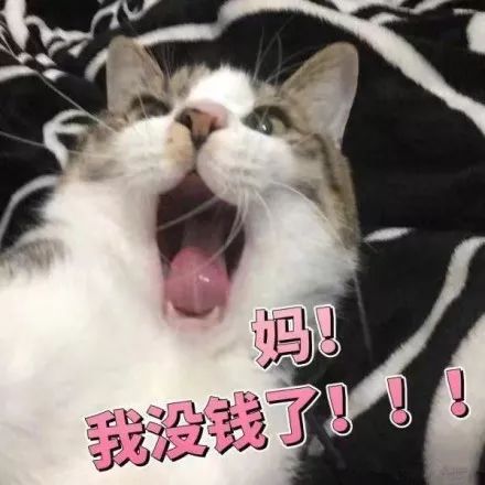 双十一后,如何优雅的问父母要生活费