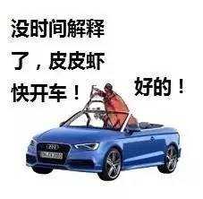 皮皮猪我们走表情包下载完整版乐游网游戏下载