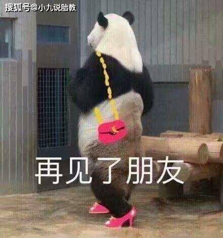 搞笑gif段子一碗狗粮五连杀,太过分了啊