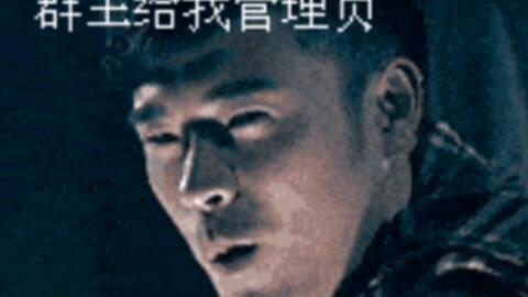 群主给我管理员表情包配音