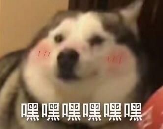 万能的修狗聊天表情包