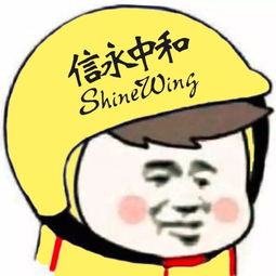 中国十大会计师事务所表情包笑死了