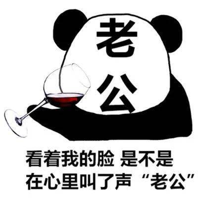 今日份熊猫头热门表情