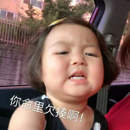 高级怼人表情包欠揍
