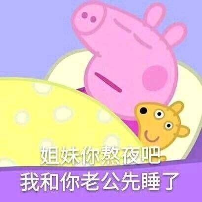 猪睡觉的表情包