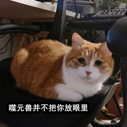 表情包噬元兽表情包合集,噬元兽我不想吞掉地球,只想萌翻你