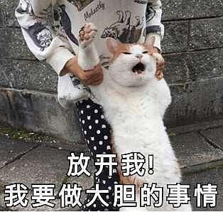 加班加到快要吐血了