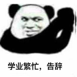 熊猫头斗图表情包精选,给你三秒钟认错