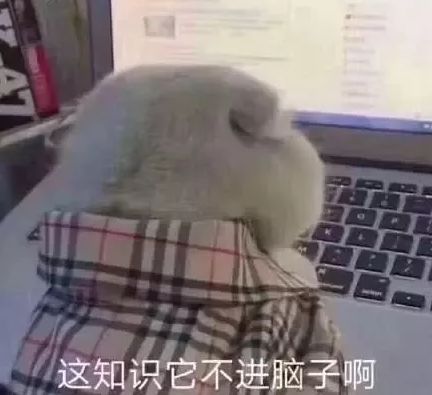 可爱一年级小神童调错台跨级上课,还做了笔记