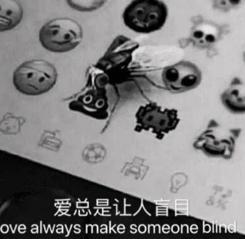 e句话看天下强行用糖果代替找零,可以滚出超市吗
