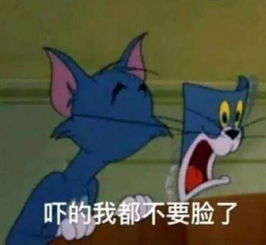 这双鞋竟卖4000一双我想说这鞋我20年前就有了...