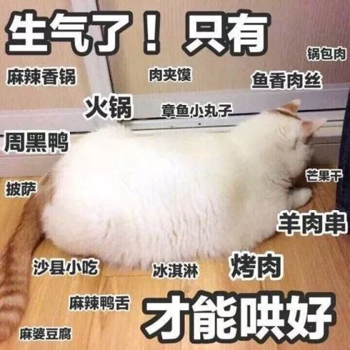 好难啊表情包gifgif