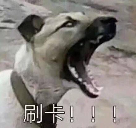 爆笑你与食堂大妈日常表情包吃啥这个带走刷卡,啊哈
