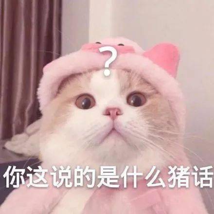 猫咪表情包接下来你是不是要凶我了