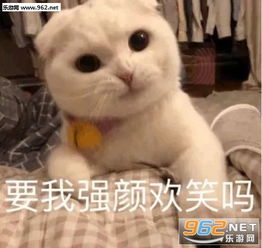 你给我滚下马来表情包表情