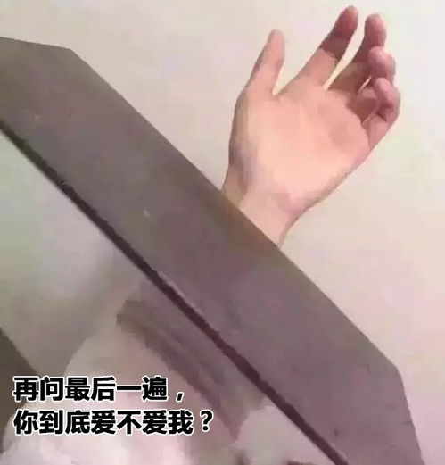 快点说爱我不然死给你看表情包大全