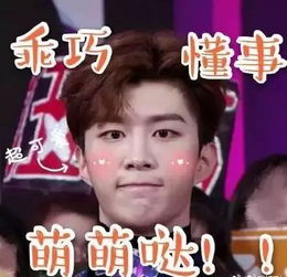 李晨花样宠爱范丞丞怎么回事李晨范冰冰什么时候办婚礼