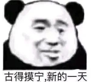 熊猫头表情包整天说早有用吗下次要说,我爱你