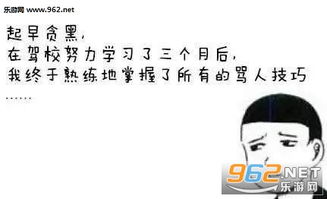 考驾照表情包图片驾校教练表情包下载乐游网游戏下载