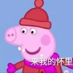 小猪佩奇表情包骑上我的小木马,从此浪迹在天涯