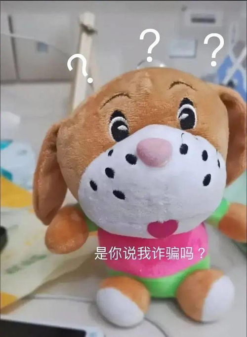 哈哈哈哈哈哈我笑到院子里的大鹅都来和我拜把子让我当大哥