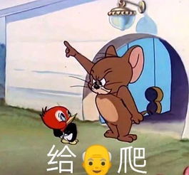这是最全的猫和老鼠表情包快来抱走吧