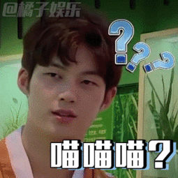 挑战者联盟董力表情包放大招