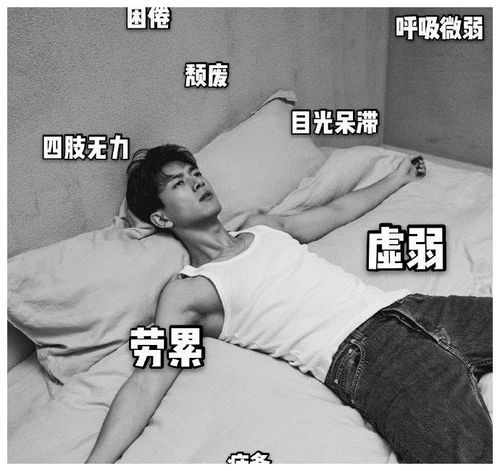 李现表情包你的现男友