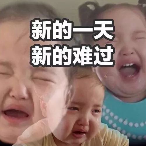 能拯救中国这届三百万孤寡青年的,就只有表情包了
