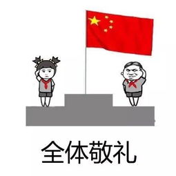 朋友圈专用,升国旗表情包合集史上最全版