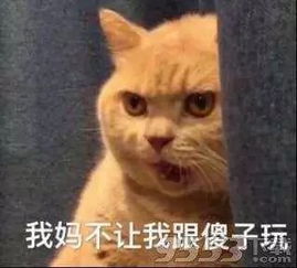 为什么人总会变成自己讨厌的样子
