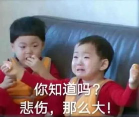 春节给完红包又给份子钱国民丈母娘张凯丽助你解决困扰