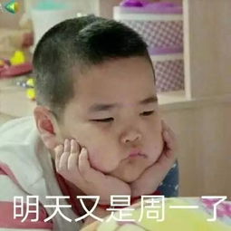 连这个叫谢飞机的孩子都不知道,还敢跟我斗表情包