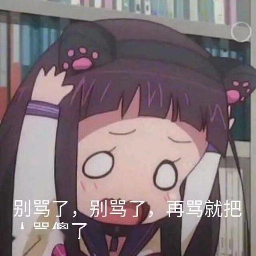 聊天斗图表情包i大家都听我说