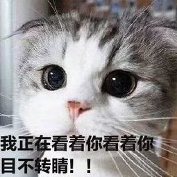 信息媒体学院垃圾分类知识竞赛